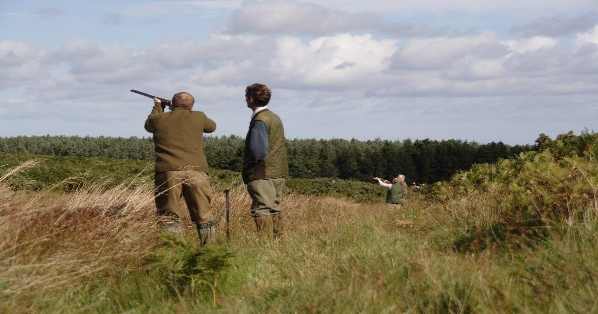 men shooting on a game hunt