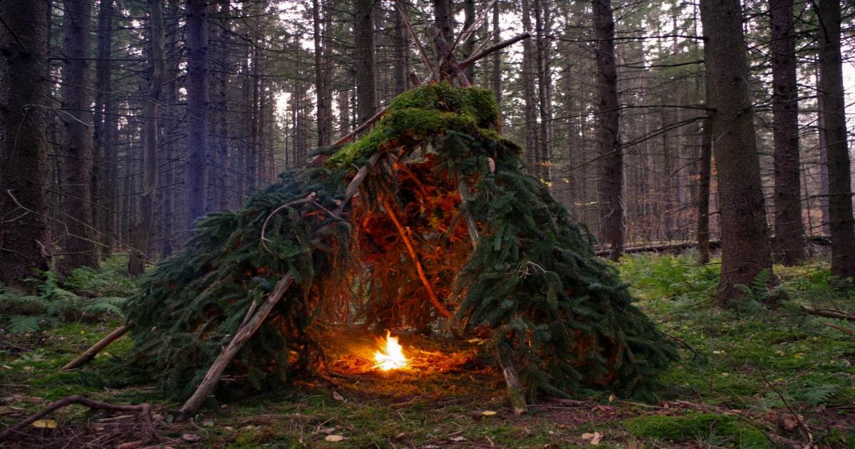 survival shelter leaves moss fire