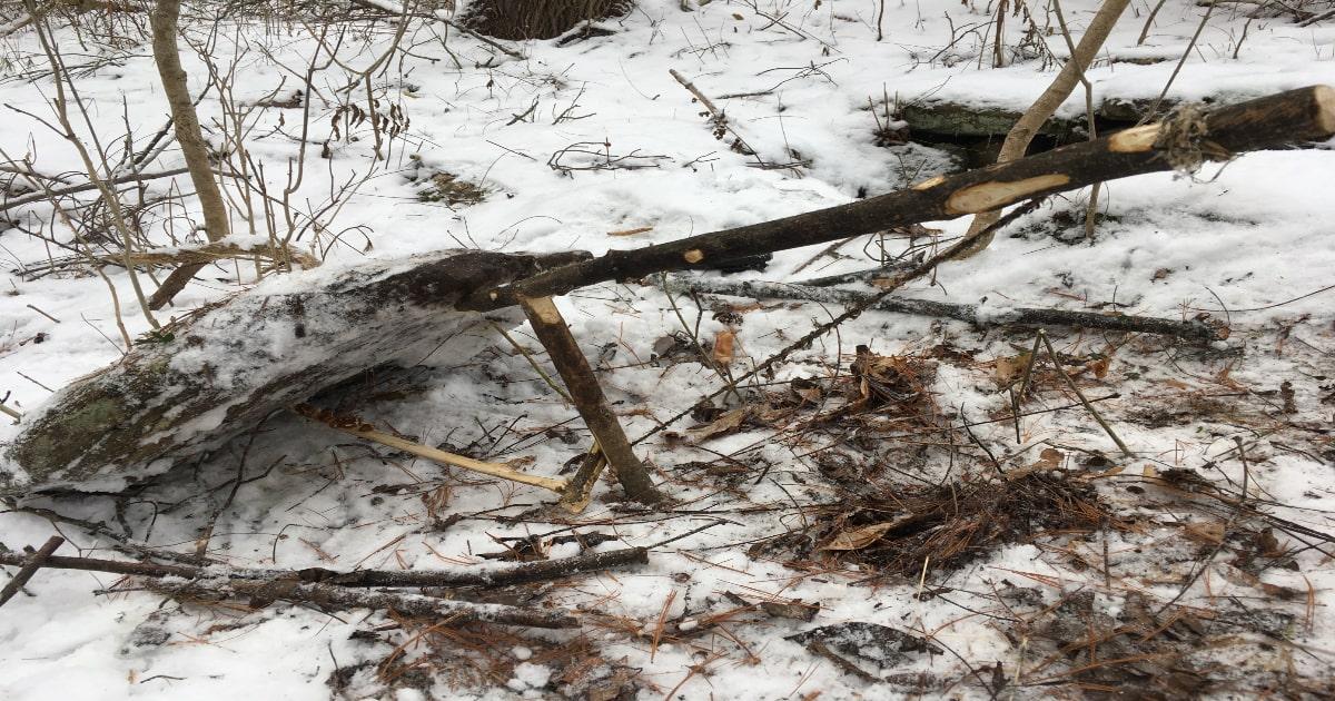 a deadfall trap for survival set in winter