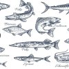 What Fish Species Are There In The UK?