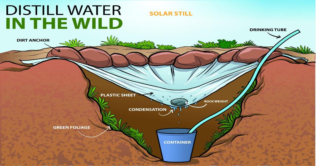 distilling survival water with a solar still