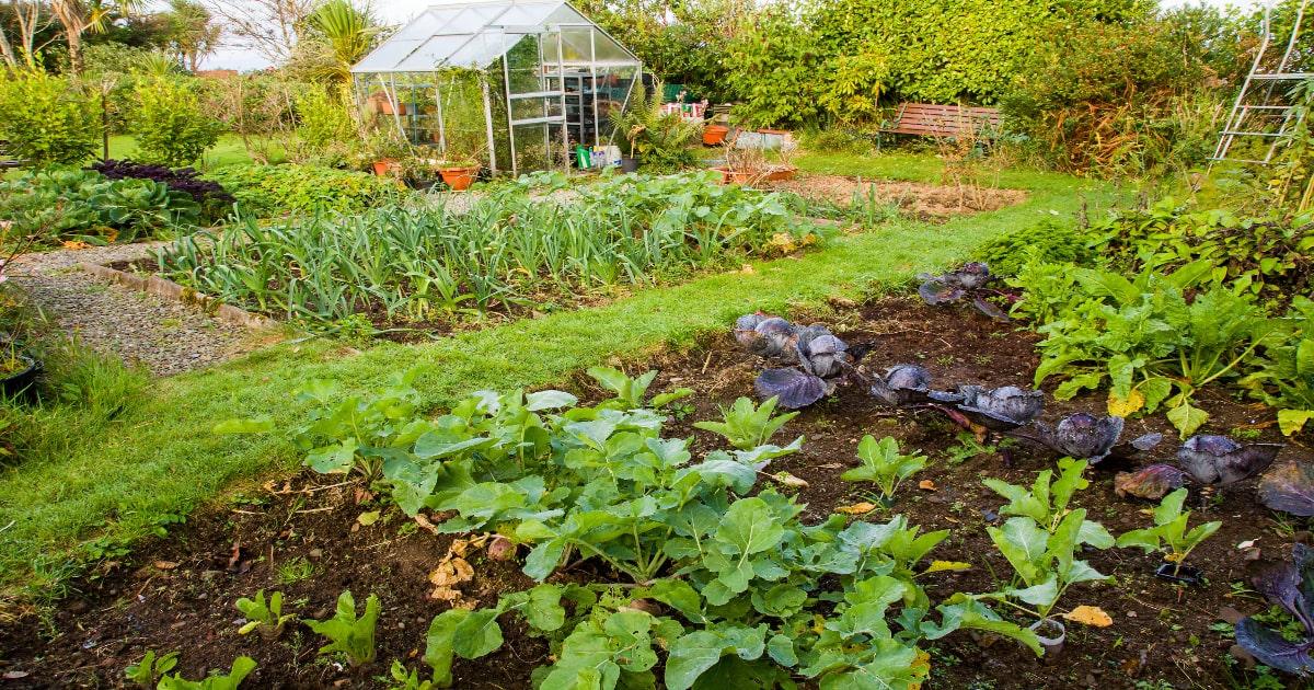 growing food survival garden greenhouse UK