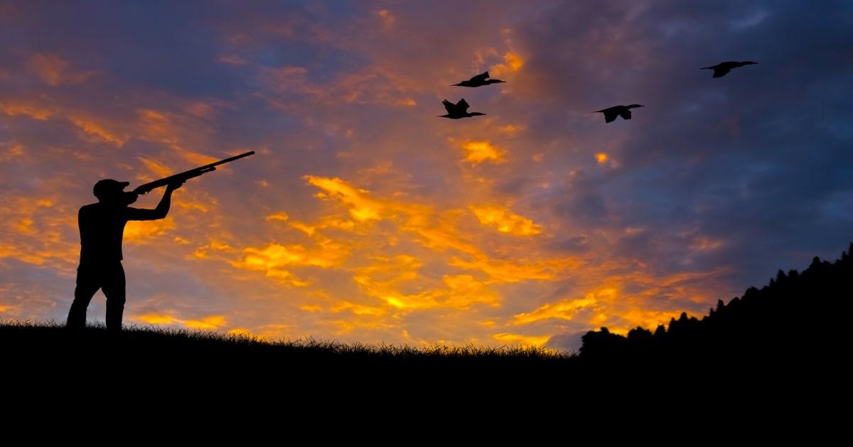 man hunting ducks with shotgun at sunset