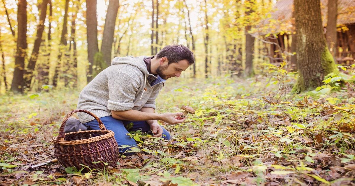 man on ground foraging in the woods