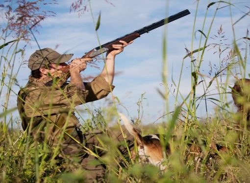 What Animals Can Preppers Hunt In The UK?