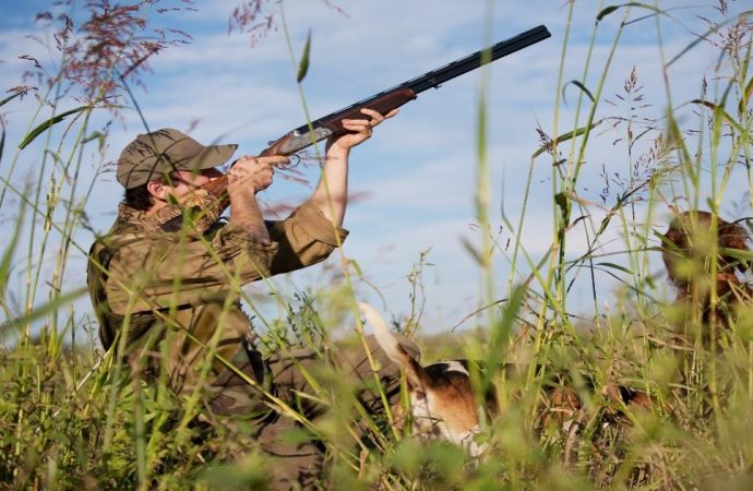 What Animals Can Preppers Hunt In The UK?
