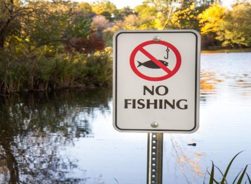 Fishing Laws In The UK