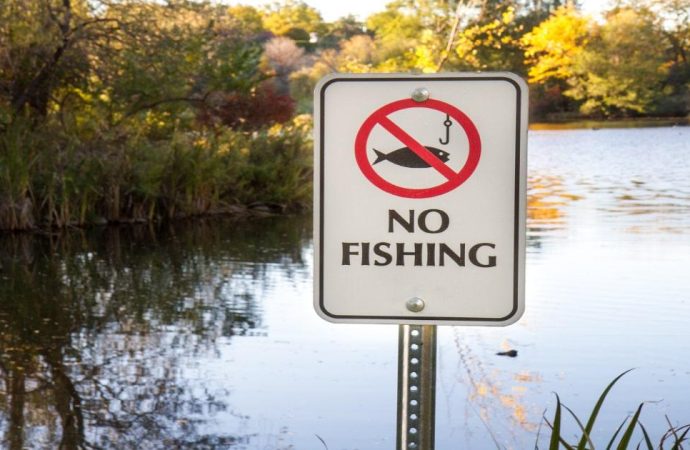 Fishing Laws In The UK