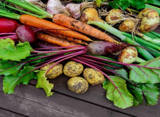 How To Properly Store Root Vegetables