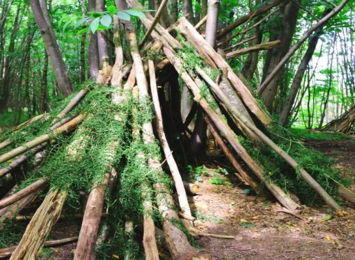 Why Building A Survival Shelter Is So Important