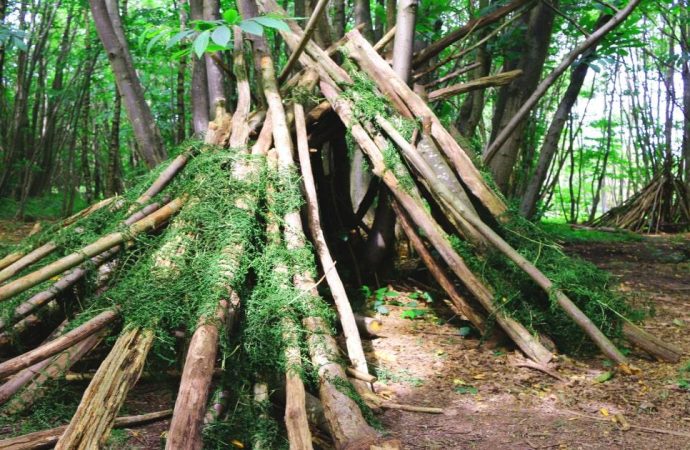 Why Building A Survival Shelter Is So Important