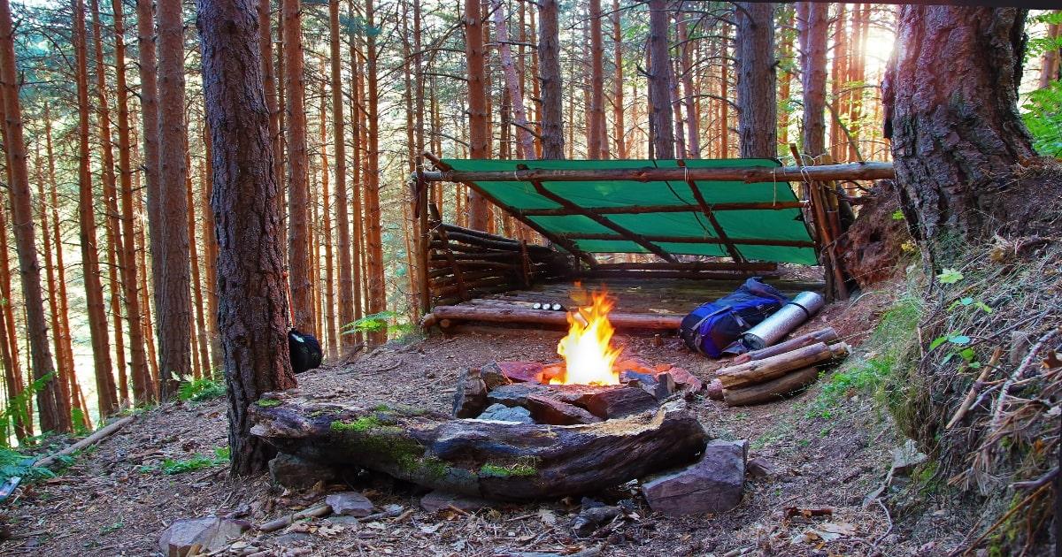 survival shelter tarp forest fire