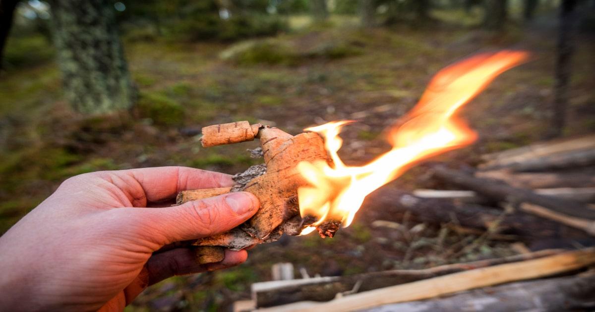 tinder birch bark burning survival fire