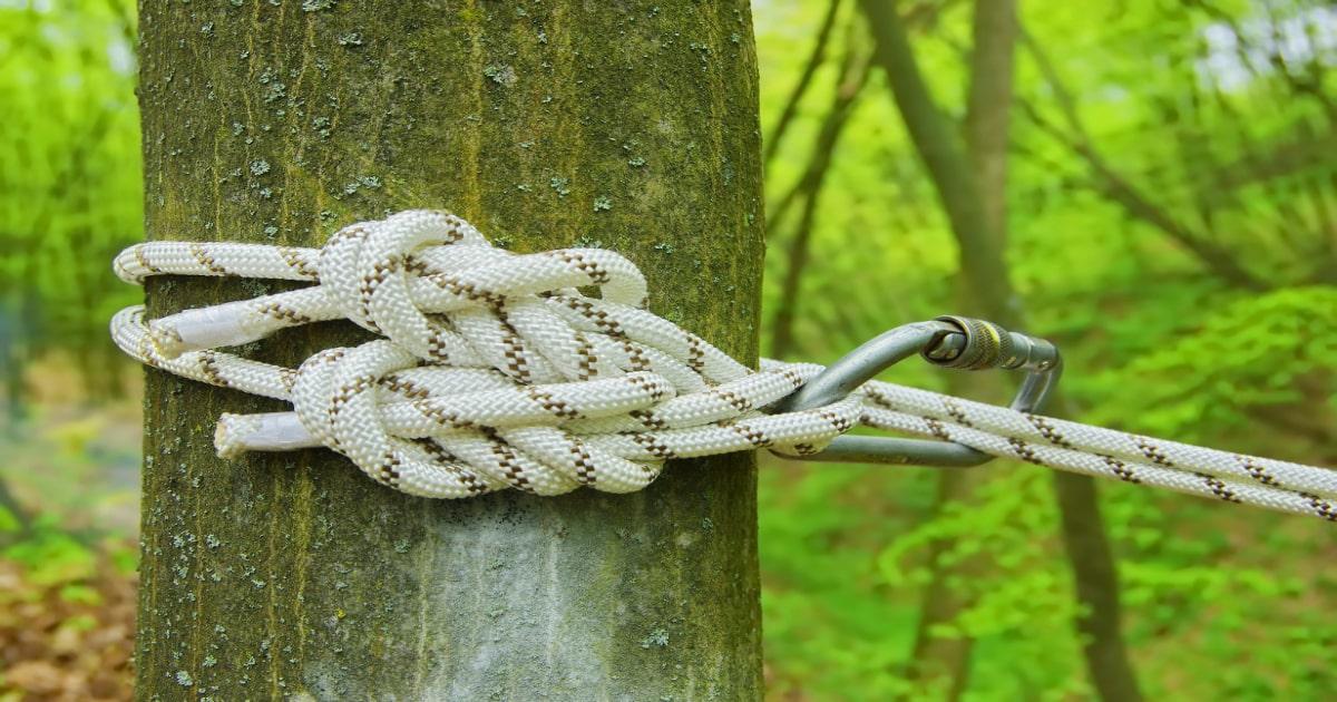 white rope tied around a tree nature